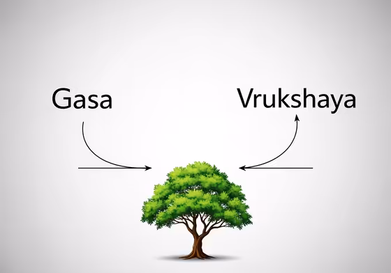 A diagram explaining the concept of synonyms with two Sinhala words pointing to the same image of a tree.